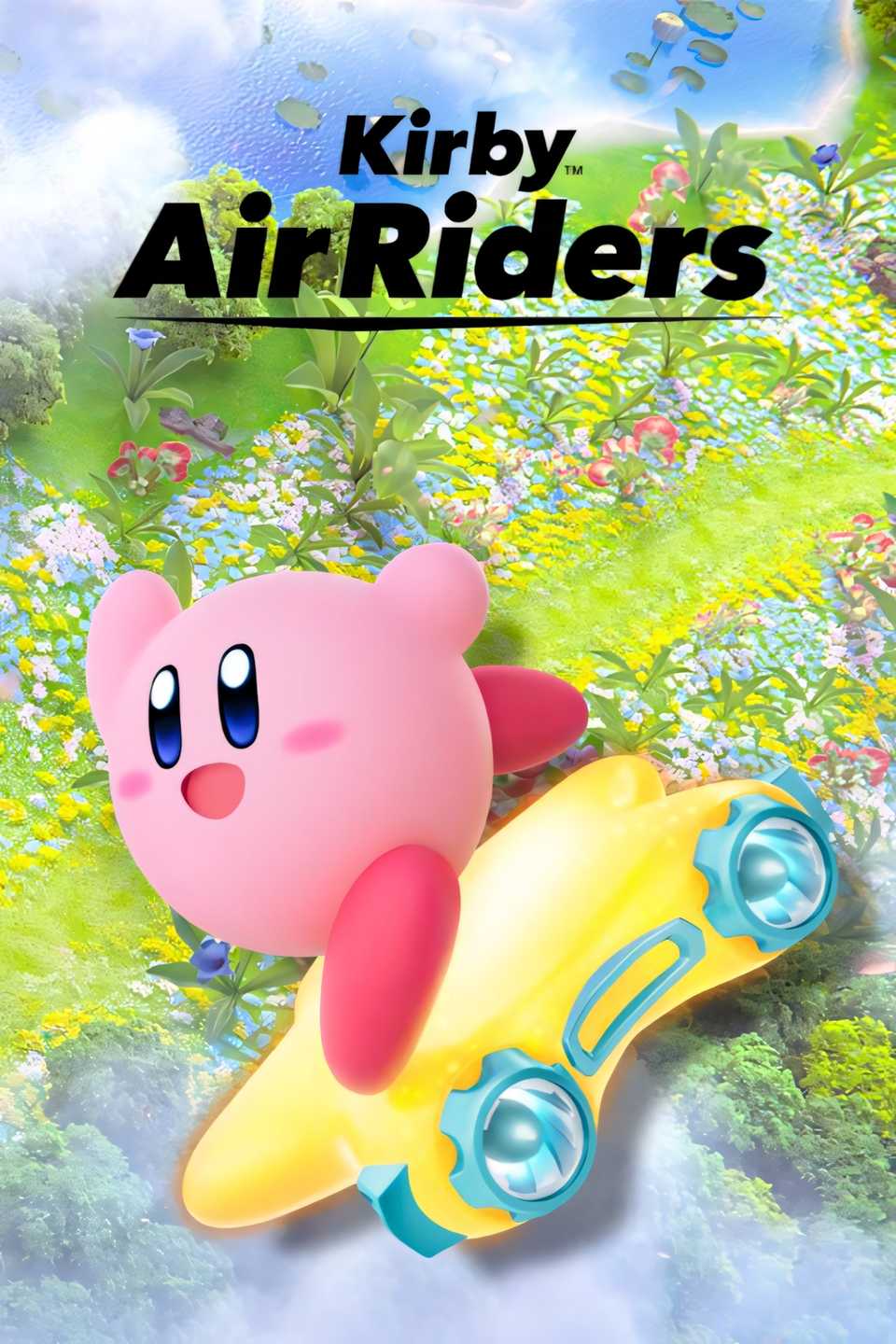 Kirby Air Riders Tag Page Cover Art