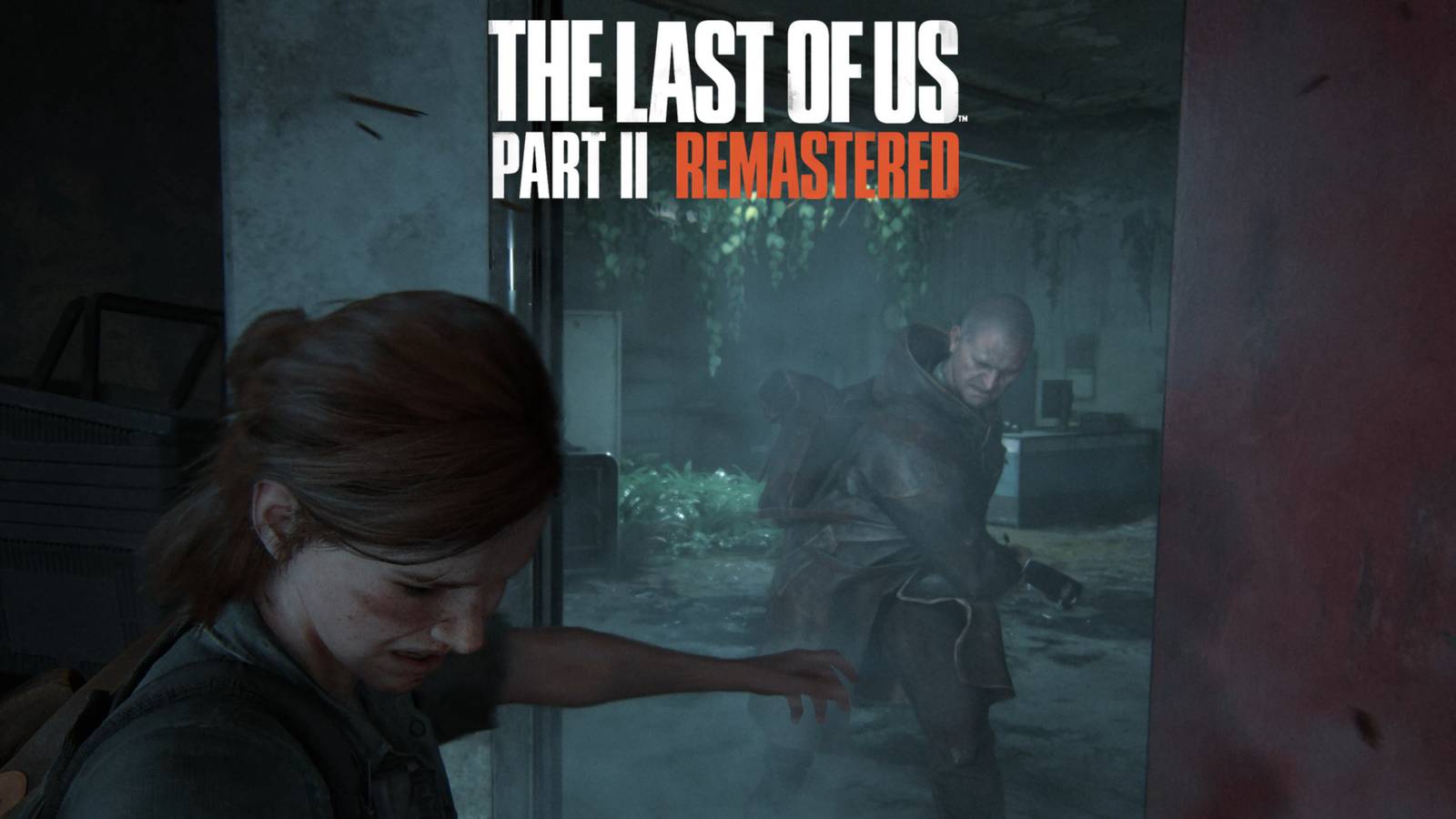 Last of Us Part 2 Remastered Which Difficulty To Pick