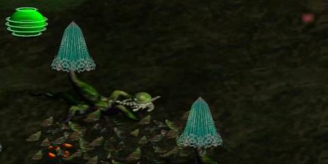 Looking at mushrooms in LOL Lack Of Love