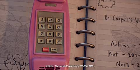 lost-records-bloom-and-rage-corey-hospital-number