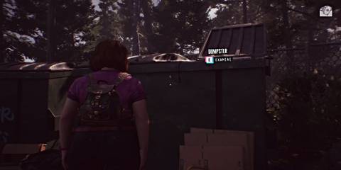 lost-records-bloom-and-rage-pam-book-dumpster