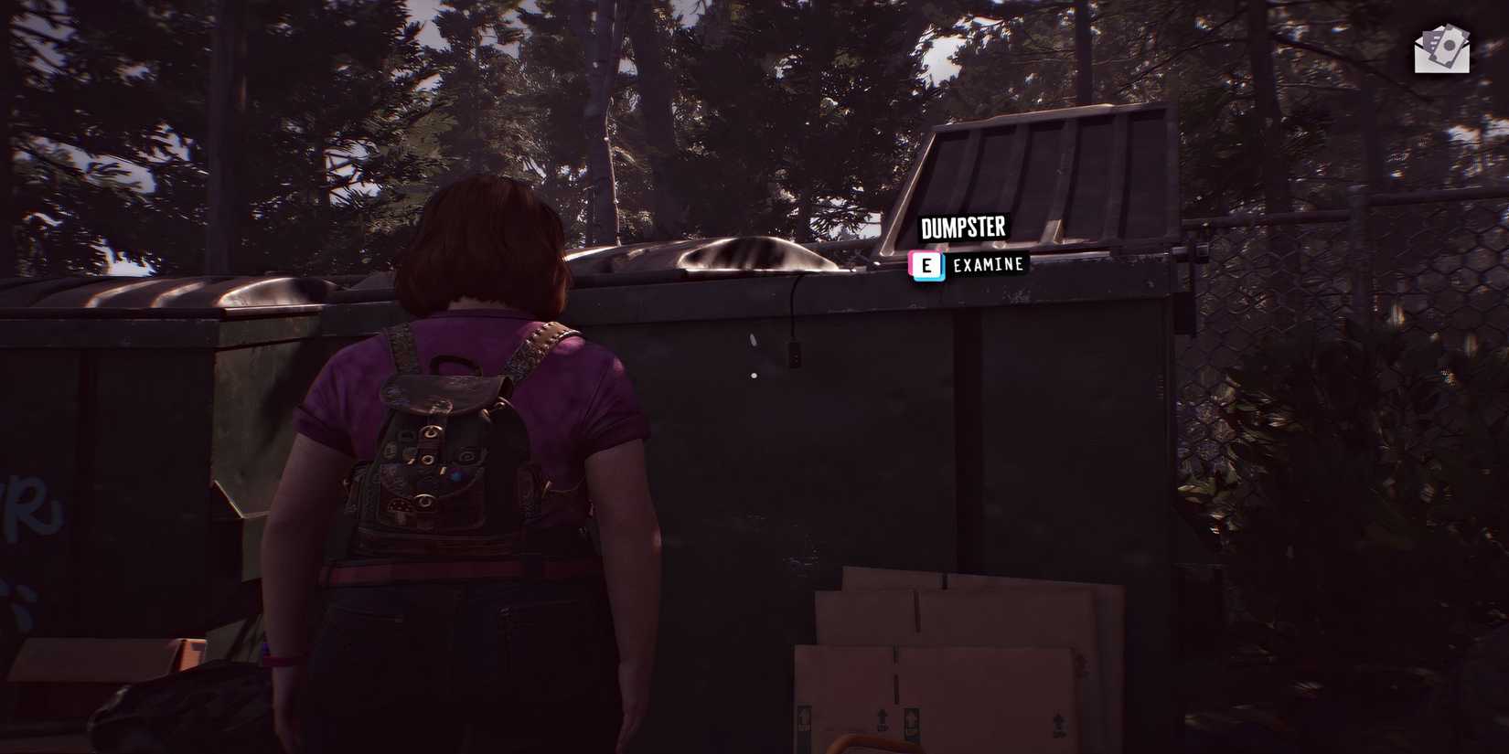 lost-records-bloom-and-rage-pam-book-dumpster