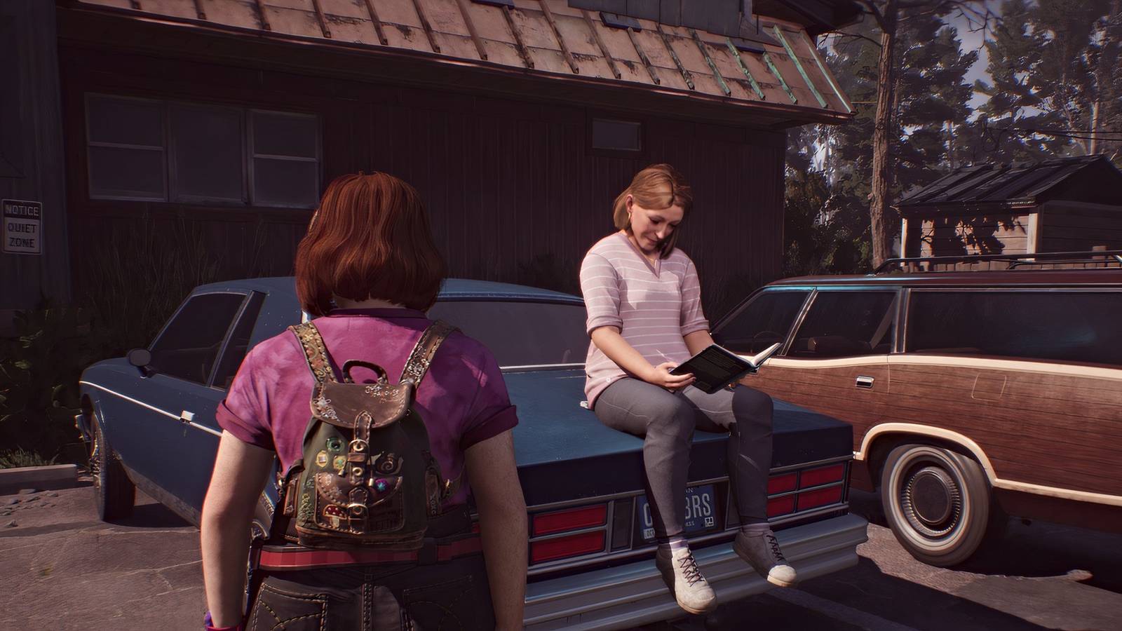 lost-records-bloom-and-rage-pam-tape-2-header