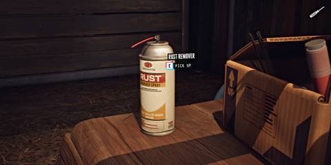 lost-records-bloom-and-rage-rust-remover-can