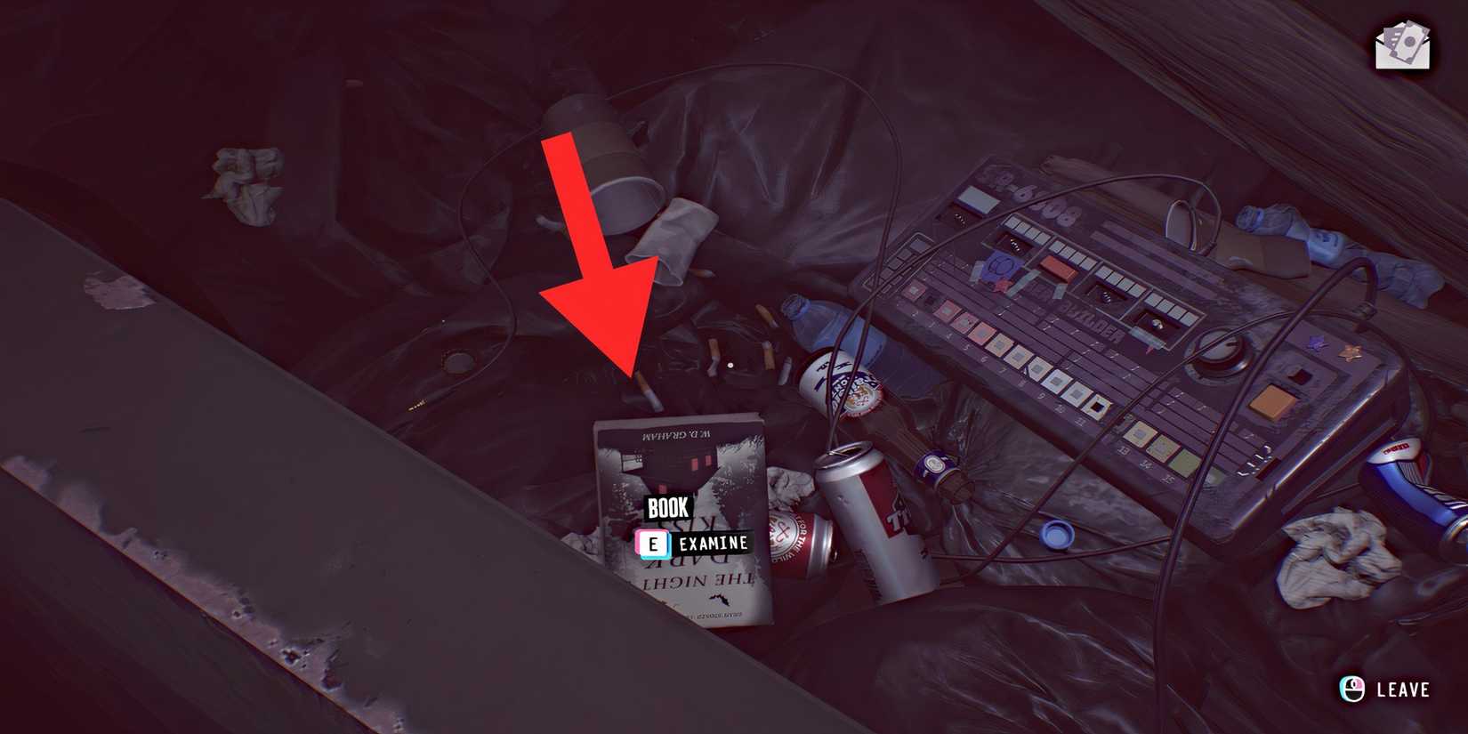 lost-records-bloom-and-rage-the-nights-dark-kiss-book-location