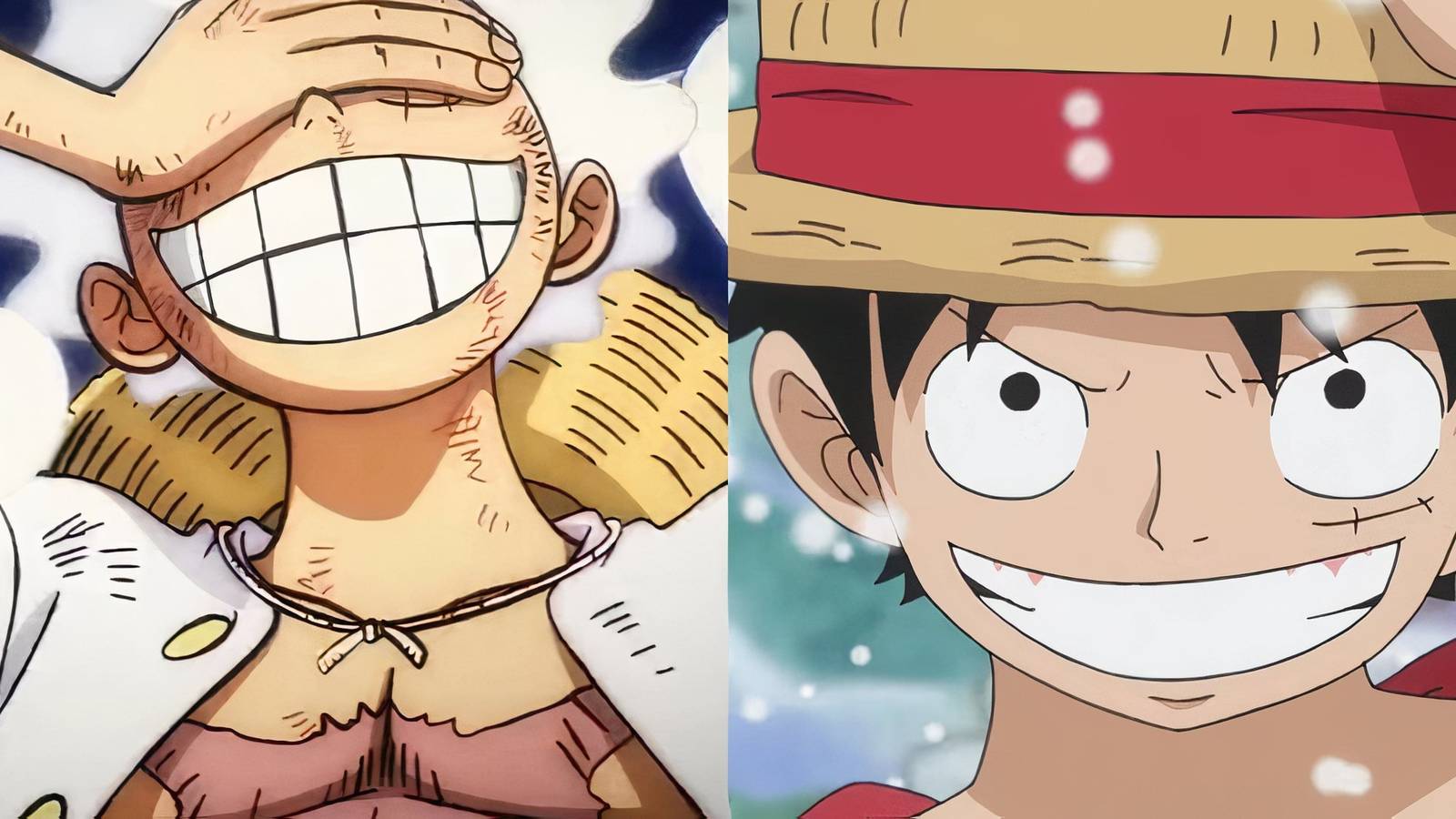 Luffy Zoan Forms
