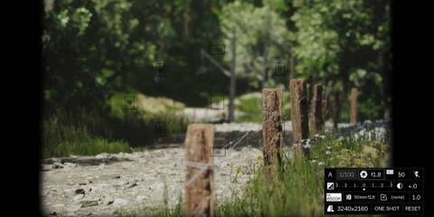 Lushfoil Photography Sim using a camera