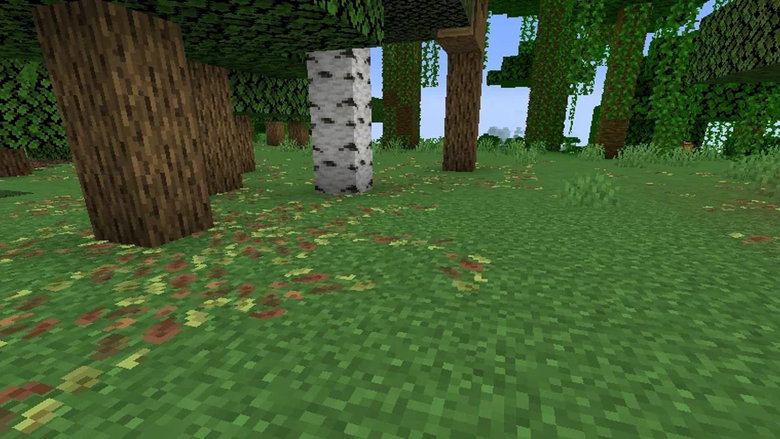 Minecraft Leaf Litter