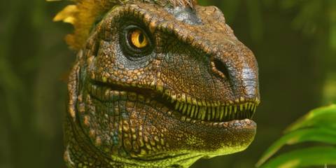 Ark: Survival Ascended: Raptor Close-up