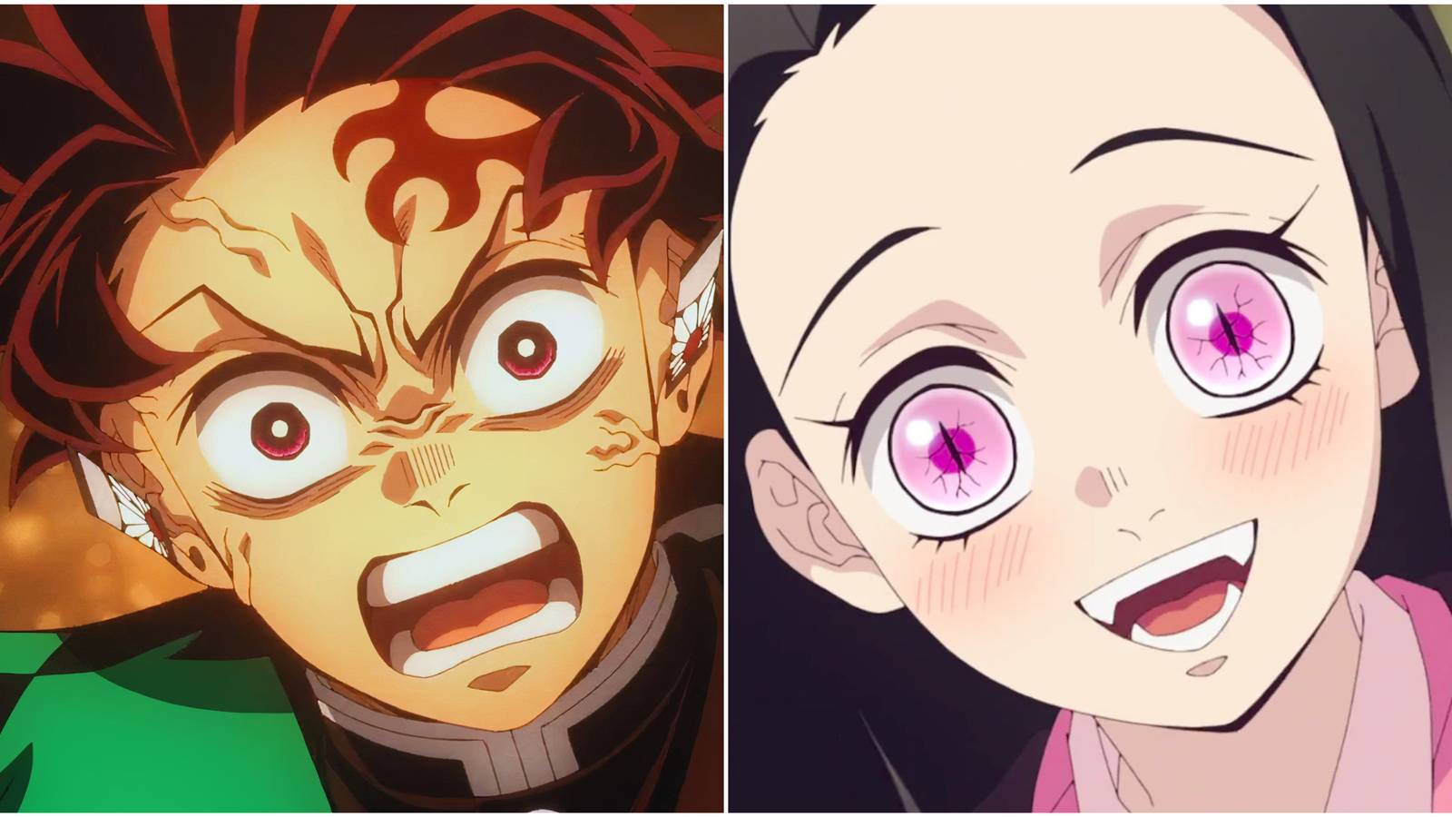 Demon Slayer Arcs With The Best Action, Ranked