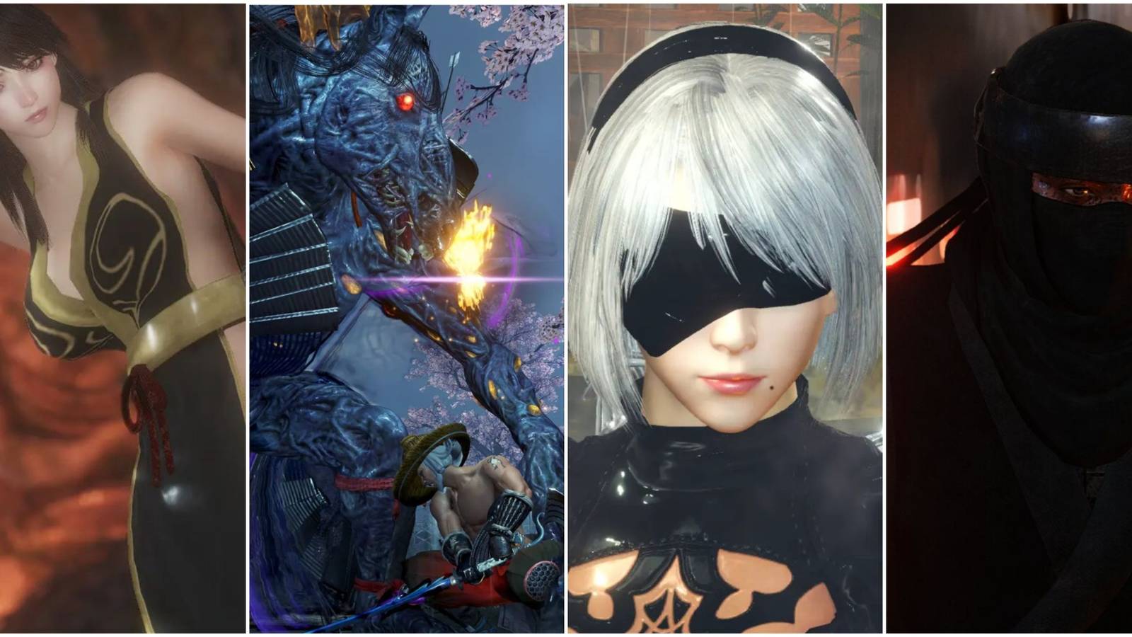A collage of images of Nioh 2 mods