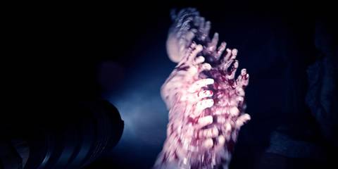 Sons of the Forest: Fingers attacking Jack