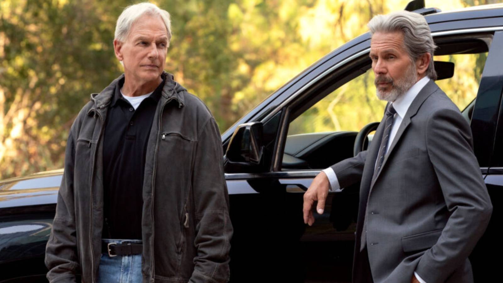 Leory Gibbs (Mark Harmon) and Alden Parker (Gary Cole) on NCIS