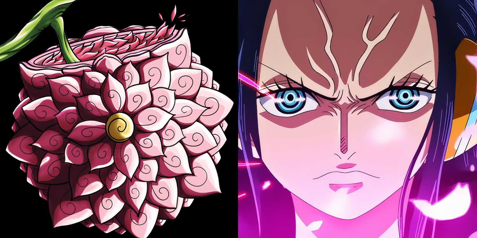 Spring No Mi One Piece: 8 Devil Fruits Closest To Awakening