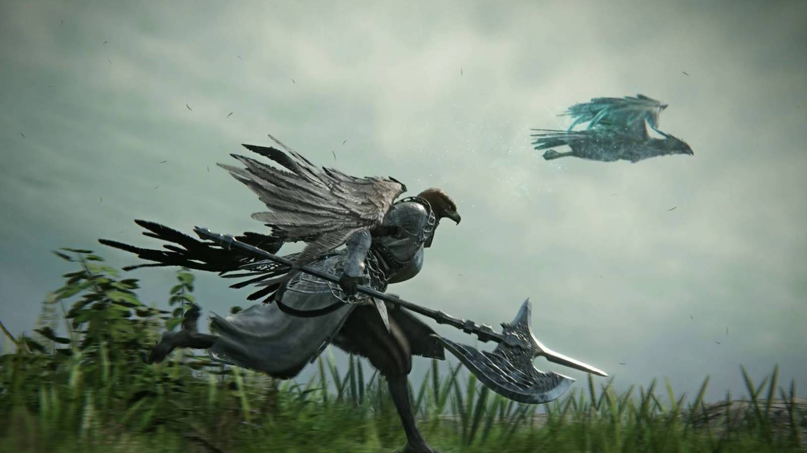 nightreign ironeye raider