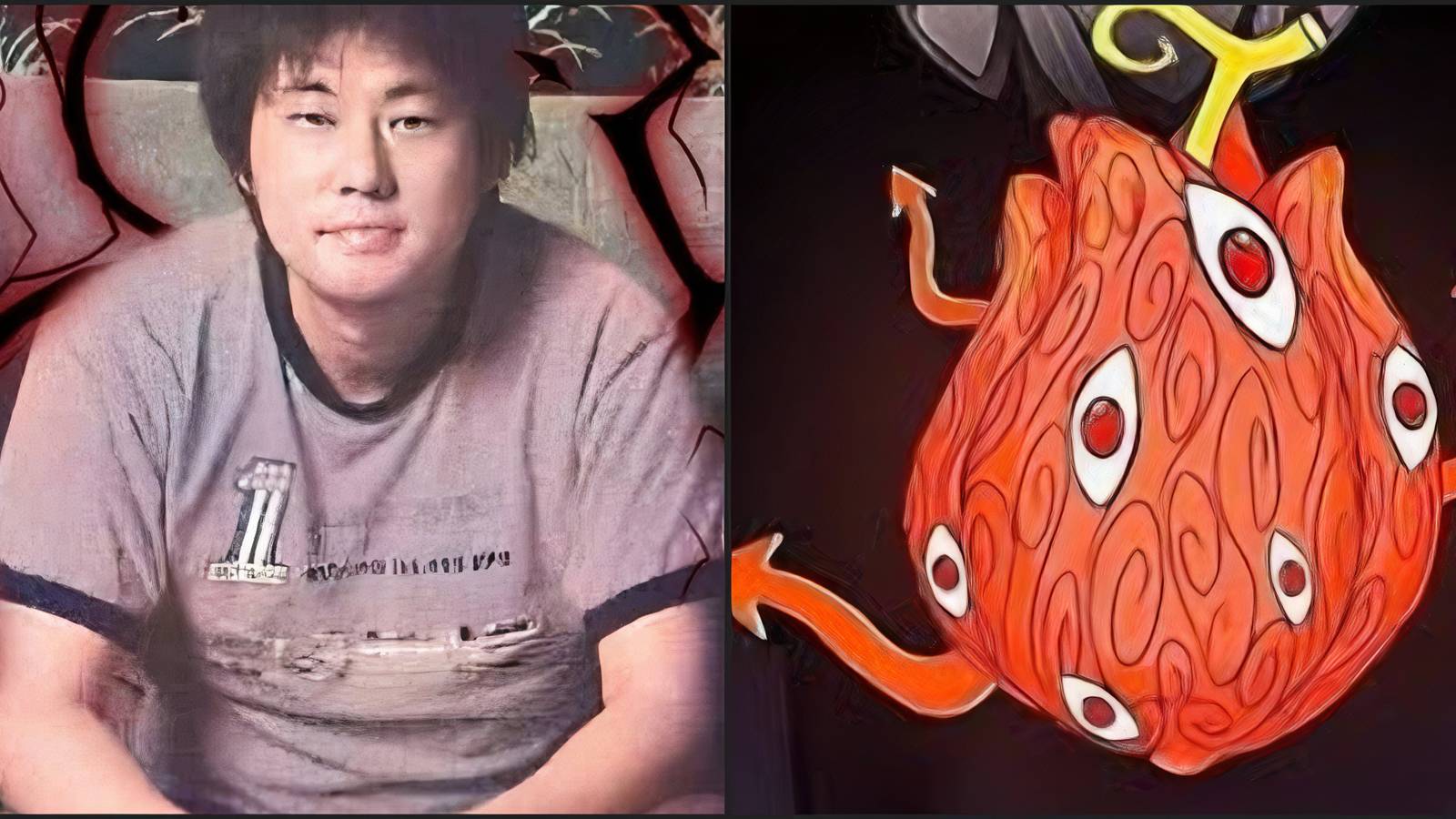 One Piece Void Century Devil Fruits