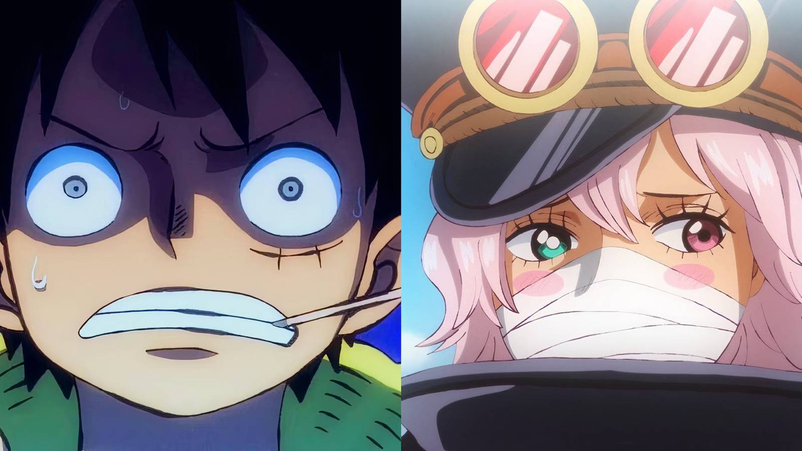 One Piece Why Gunko Might Be Luffy Sister