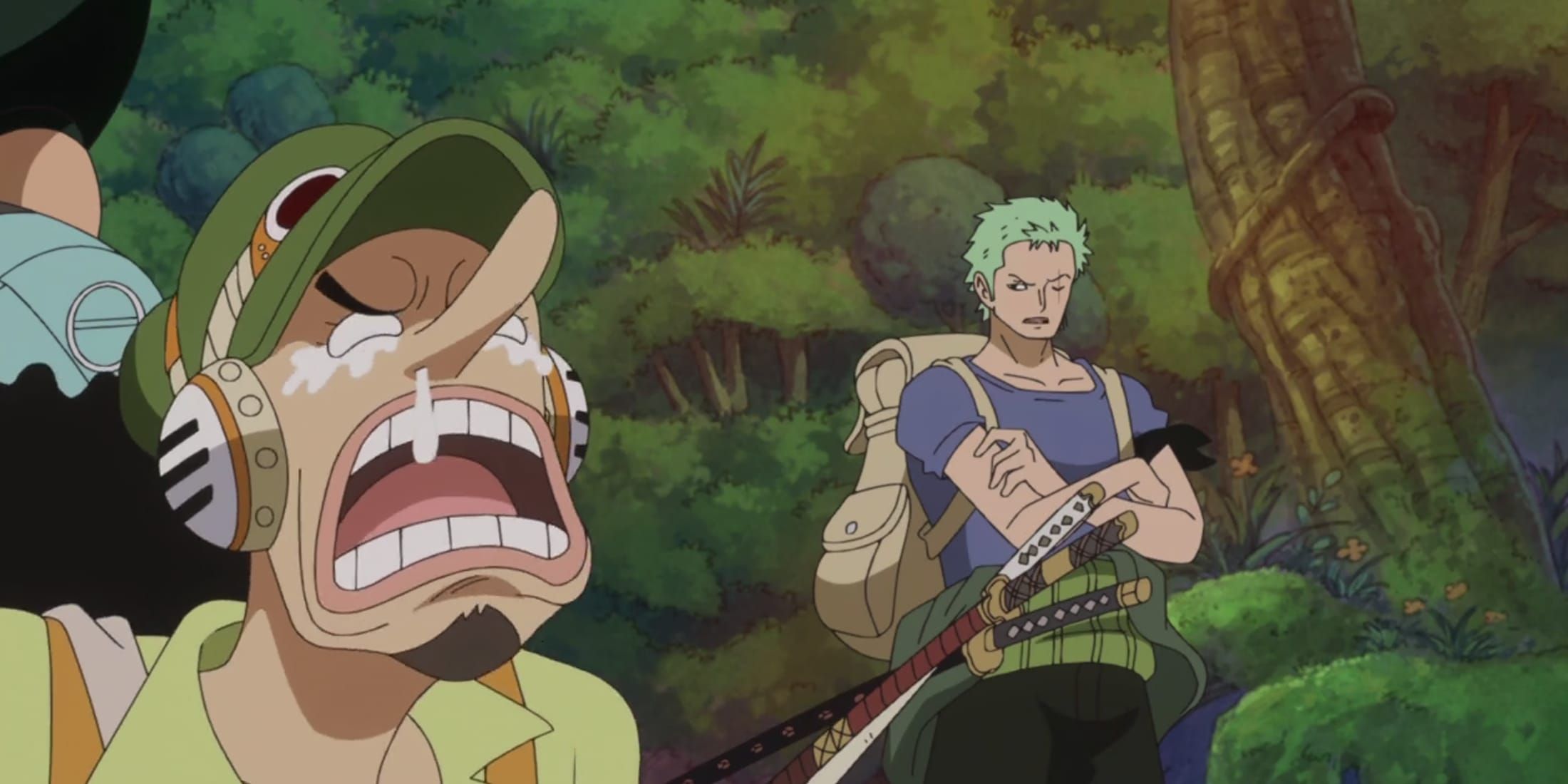 One Piece Zoro Calming Usopp Down
