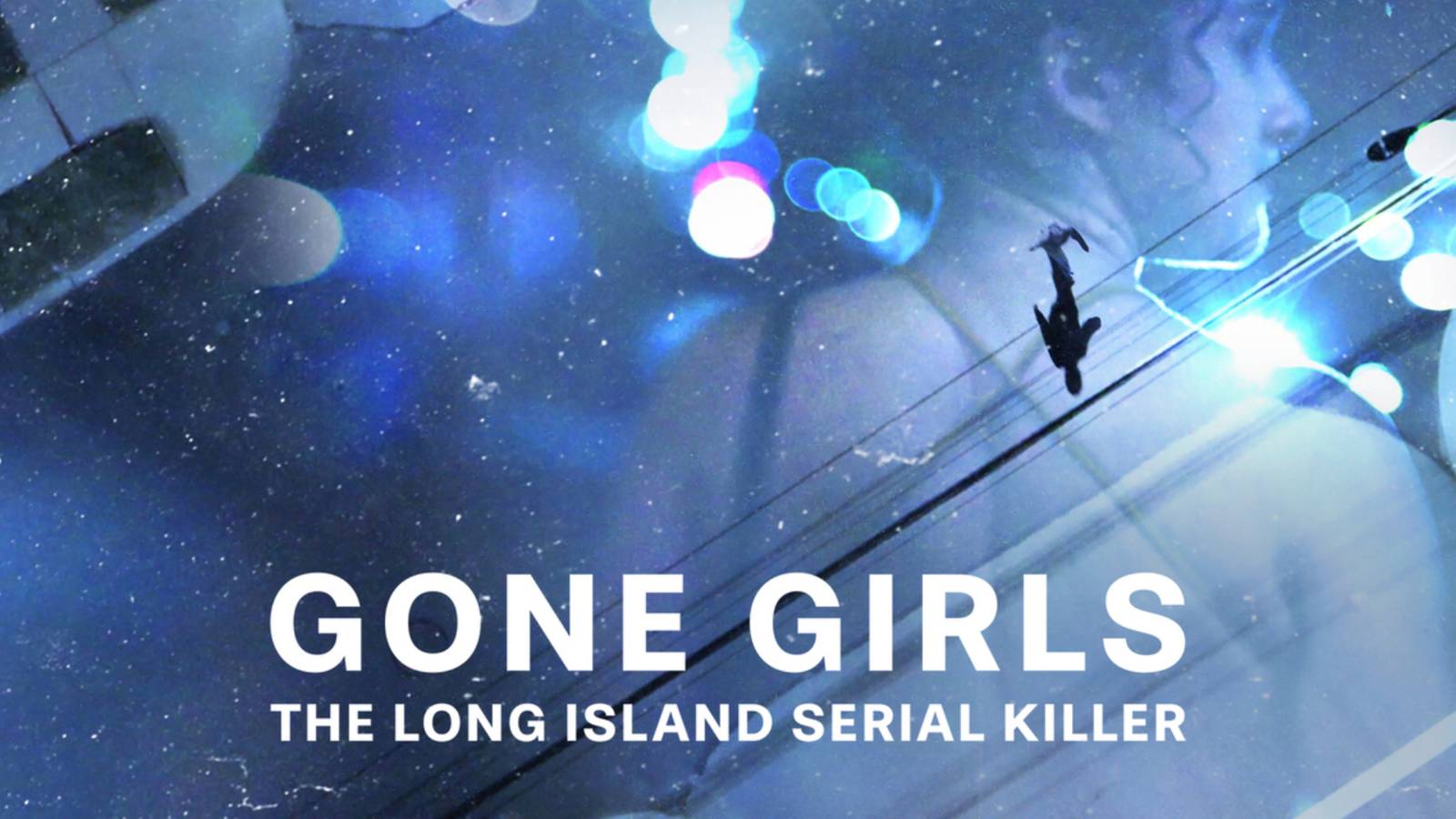 the long island serial killer