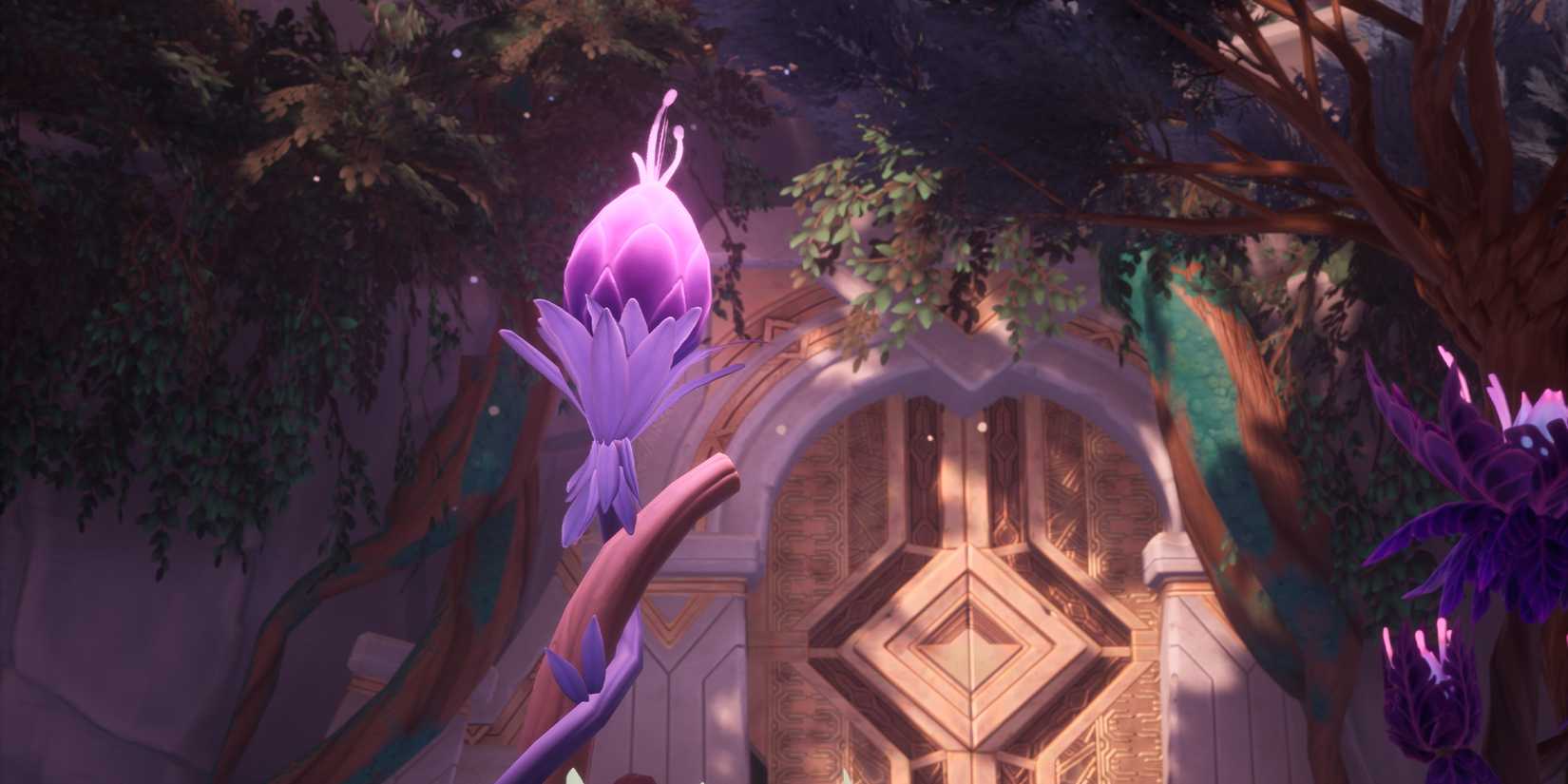 Palia Elderwood discover secrets