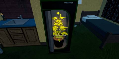 plant hotel room schedule 1