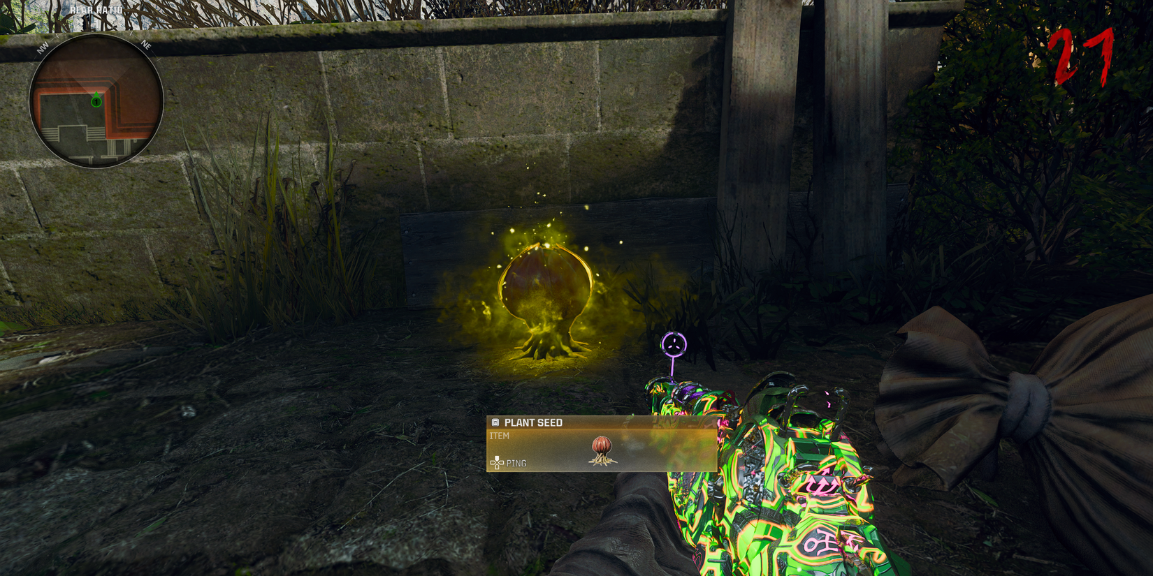 plant seeds in shattered veil