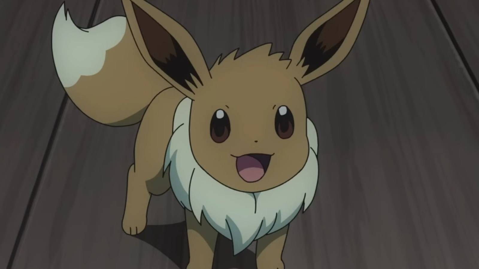 Pokemon Eeveelution Airplane