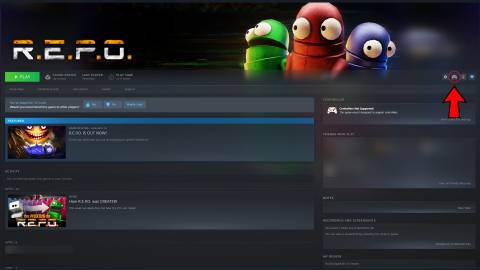 repo controller settings on steam
