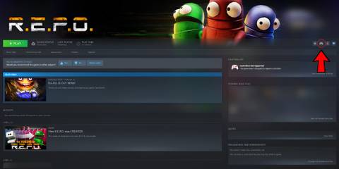 repo controller settings on steam
