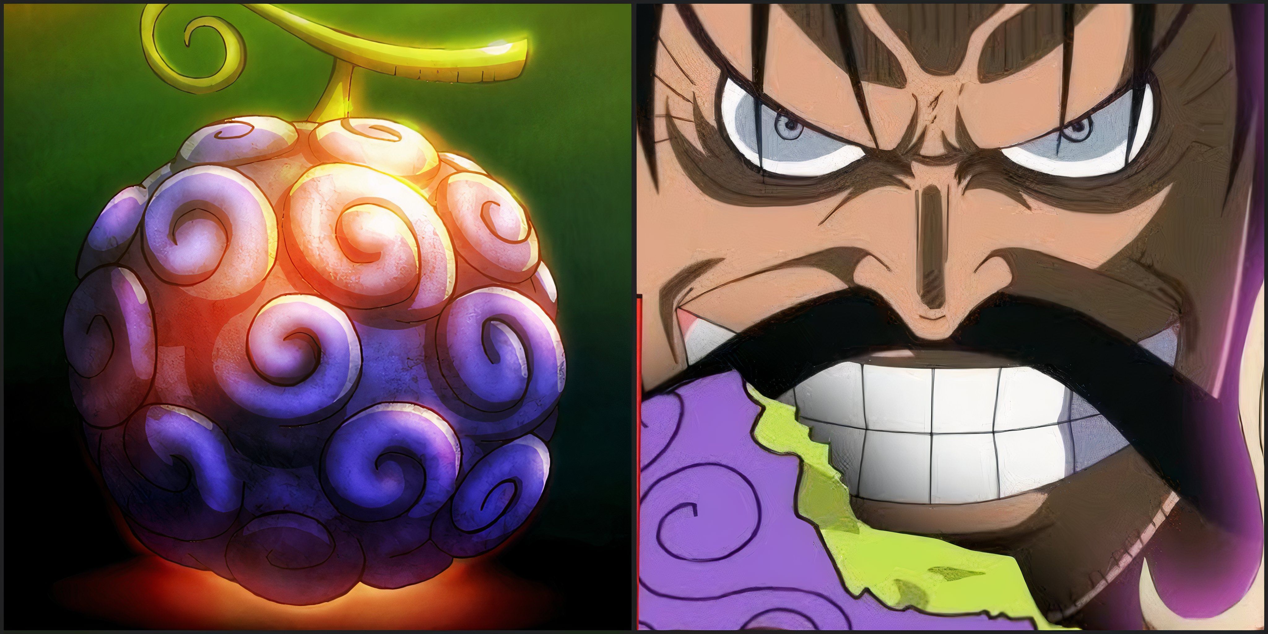 ROGER GOMU GOMU no MI, previously user before Luffy One Piece