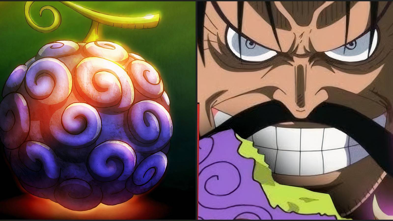 Roger Gomu Gomu no Mi Previous User Before Luffy One Piece