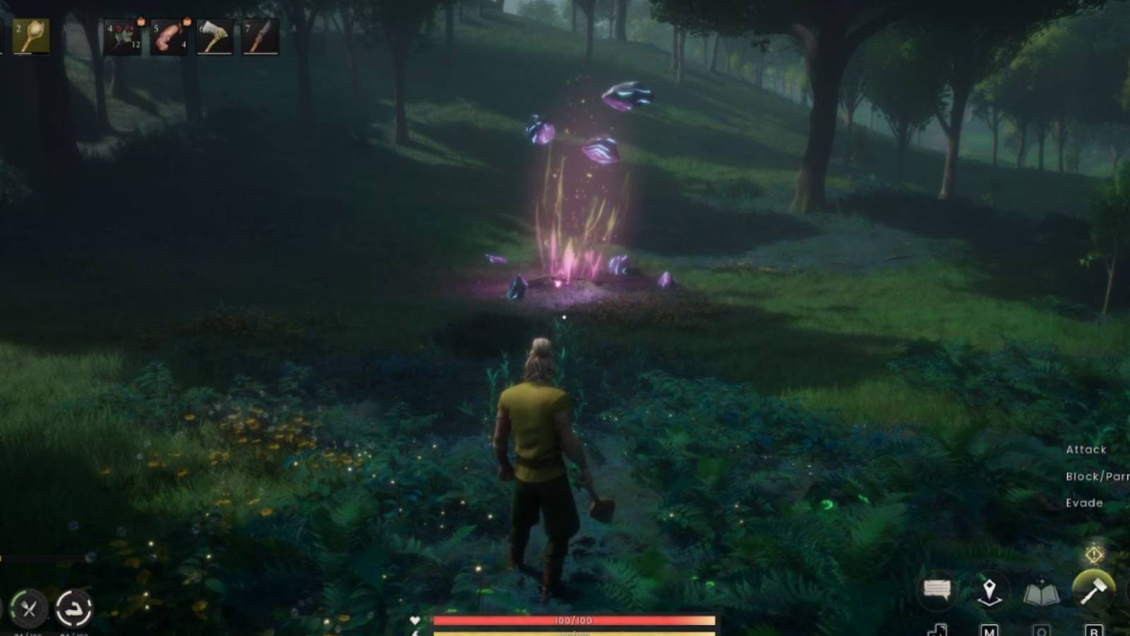 Runescape Dragonwild - spells