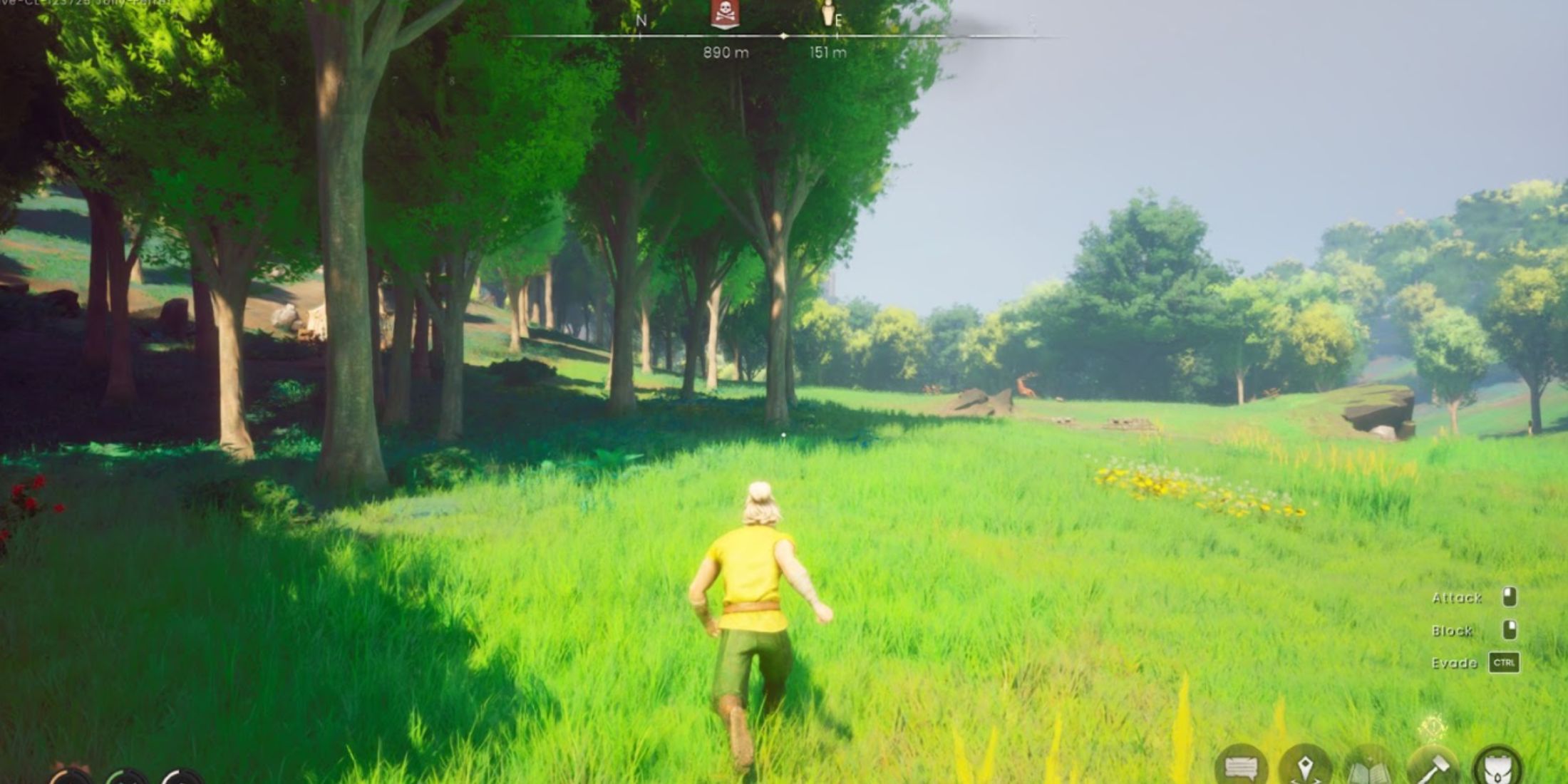 RUNESCAPE DRAGONWILDS Player