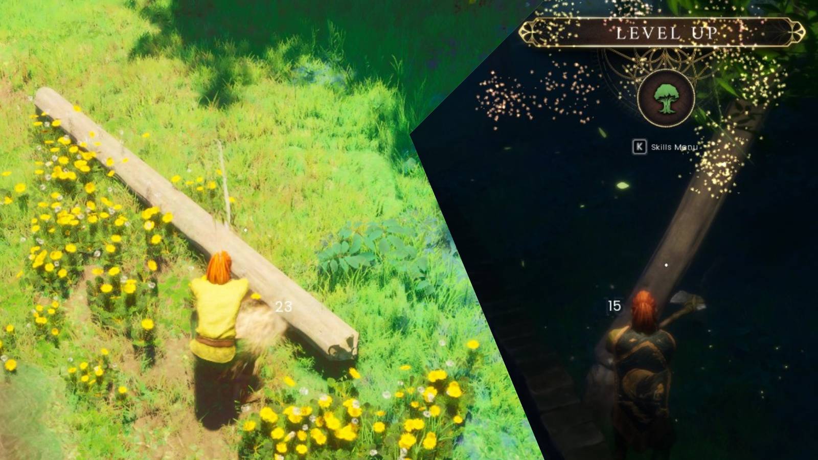 RuneScape Dragonwilds Woodcutting Leveling Guide