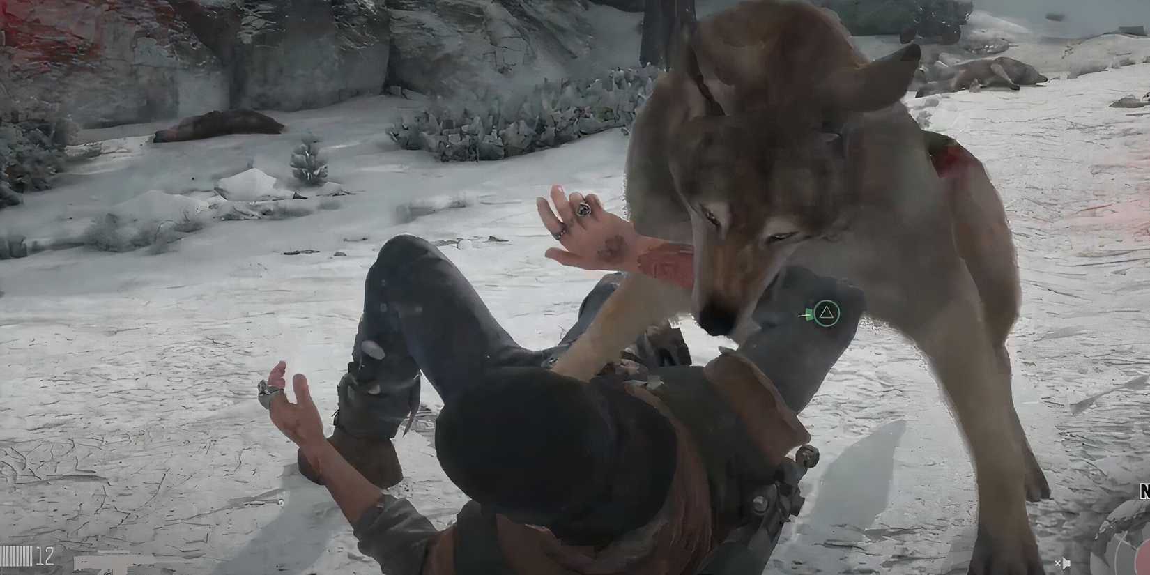 Deacon getting bitten by a wolf