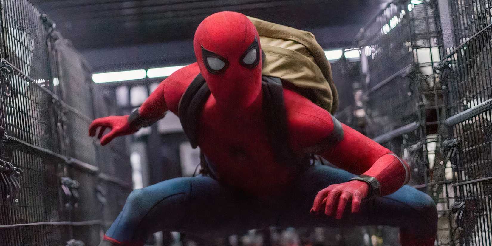 Spider-Man with his bagpack