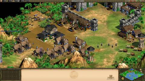 Age of Empires 2
