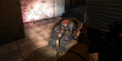 Stalker Shadow of Chernobyl Mutant 