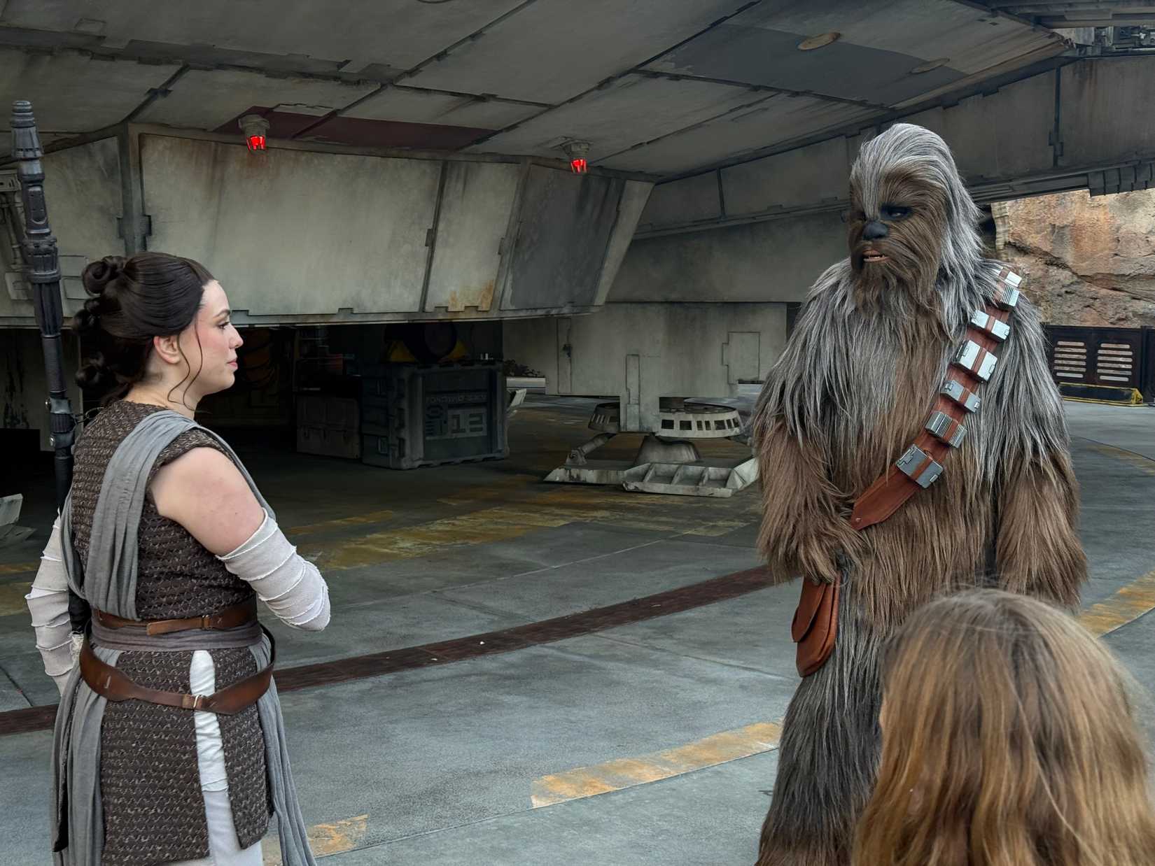 star wars nite rey and chewbacca