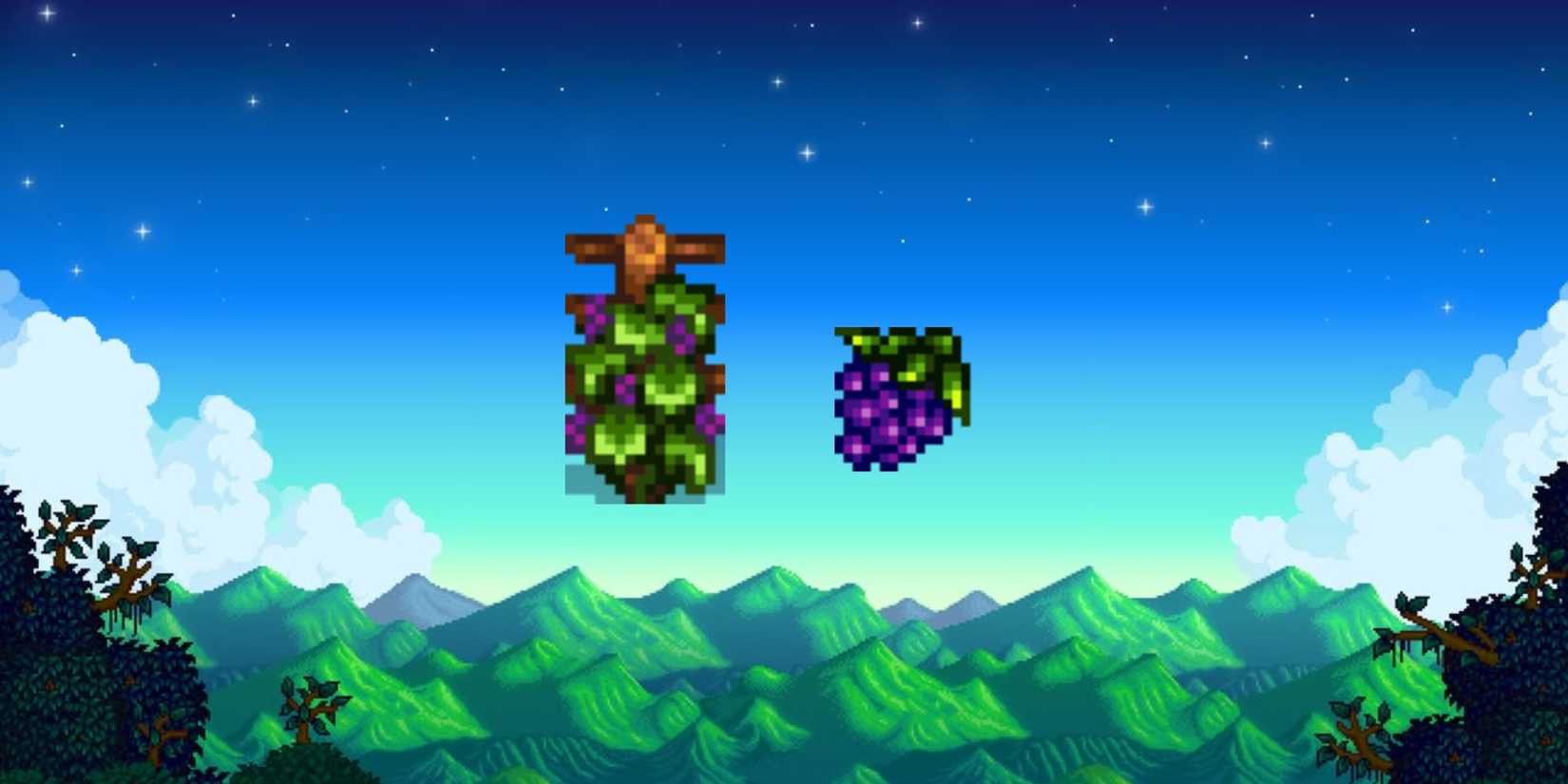 grape starter and grape