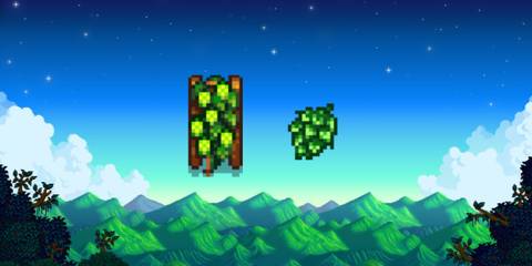  hops starter and hops