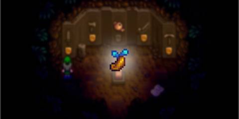 stardew valley mystic tree seed