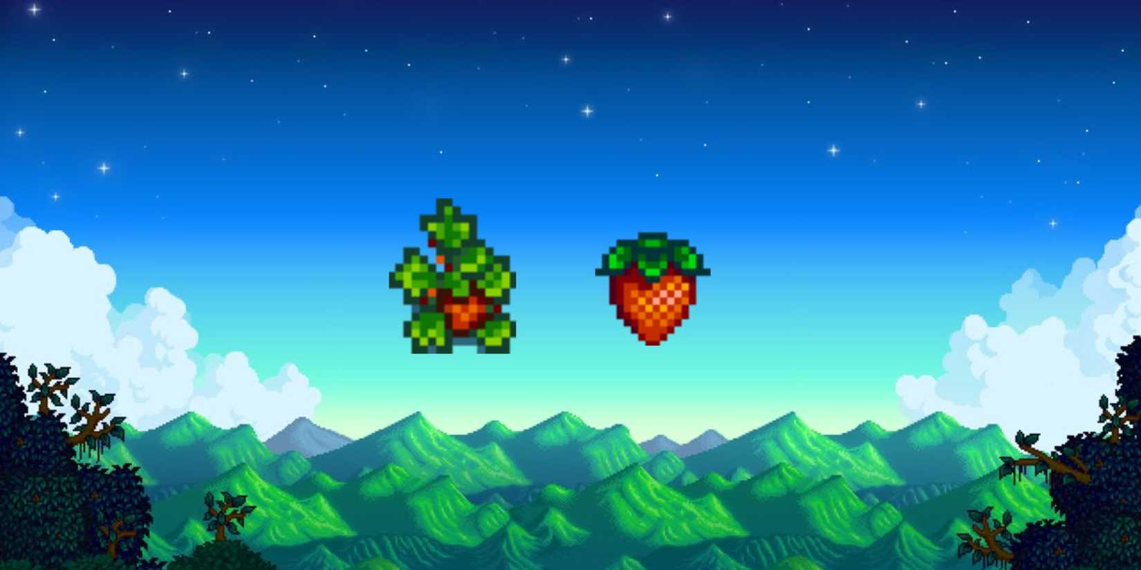 strawberry plant and strawberry