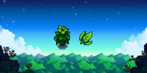 tea bush and tea leaves