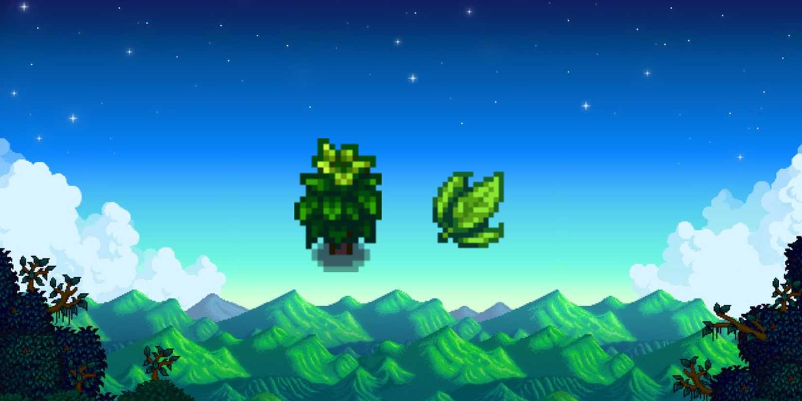 tea bush and tea leaves