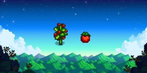 tomato plant and tomato