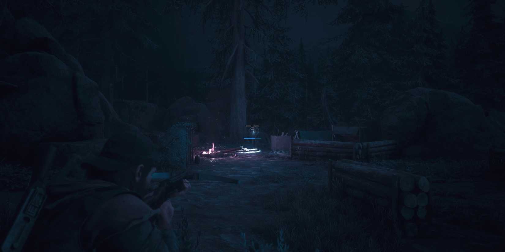 survival vision days gone