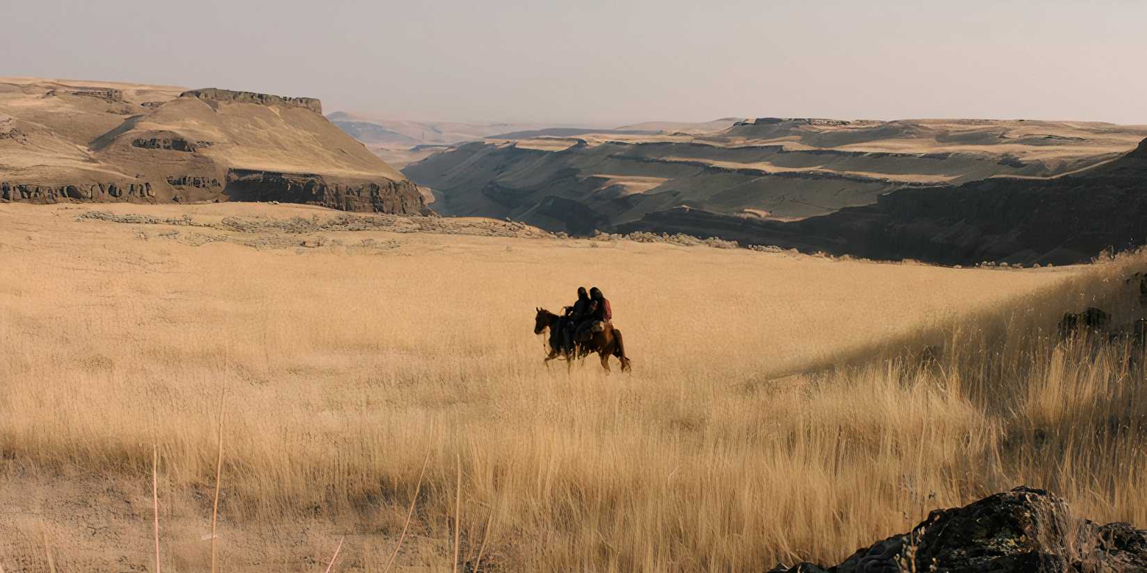 The Last of Us Ellie and Dina's Journey-1