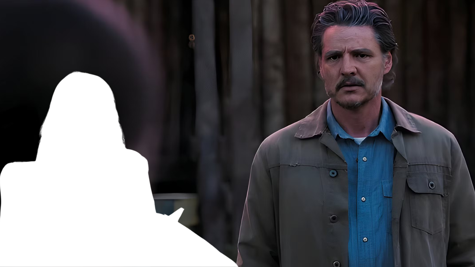 the last of us joel and gail