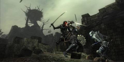 The Slayer of Demons fighting some skeleton - Demon's Souls